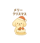 マルチーズの日常スタンプ！（個別スタンプ：1）