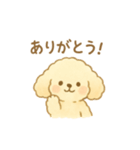 マルチーズの日常スタンプ！（個別スタンプ：5）