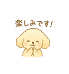 マルチーズの日常スタンプ！（個別スタンプ：6）