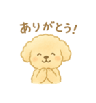 マルチーズの日常スタンプ！（個別スタンプ：10）