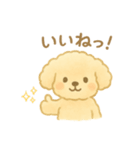 マルチーズの日常スタンプ！（個別スタンプ：11）