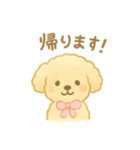 マルチーズの日常スタンプ！（個別スタンプ：13）