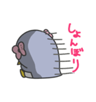 ペンギン娘ちゃんスタンプ（個別スタンプ：16）
