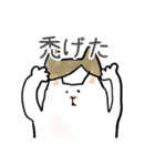 どうぞ猫のゆる日常のスタンプ（個別スタンプ：12）