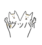 どうぞ猫のゆる日常のスタンプ（個別スタンプ：19）