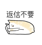 どうぞ猫のゆる日常のスタンプ（個別スタンプ：24）