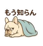 フレンチブルのターボくん（個別スタンプ：13）