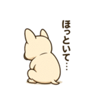 フレンチブルのターボくん（個別スタンプ：16）