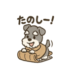 冬のほっこりシュナウザー（個別スタンプ：2）