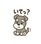 冬のほっこりシュナウザー（個別スタンプ：3）