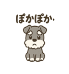 冬のほっこりシュナウザー（個別スタンプ：5）