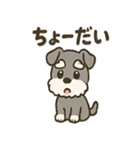 冬のほっこりシュナウザー（個別スタンプ：6）