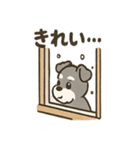 冬のほっこりシュナウザー（個別スタンプ：7）