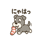 冬のほっこりシュナウザー（個別スタンプ：8）