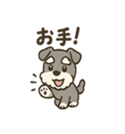 冬のほっこりシュナウザー（個別スタンプ：9）