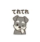 冬のほっこりシュナウザー（個別スタンプ：11）