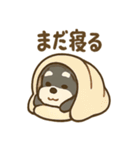 冬のほっこりシュナウザー（個別スタンプ：12）