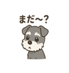 冬のほっこりシュナウザー（個別スタンプ：13）