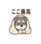 冬のほっこりシュナウザー（個別スタンプ：16）