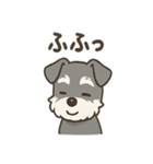 冬のほっこりシュナウザー（個別スタンプ：18）