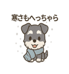 冬のほっこりシュナウザー（個別スタンプ：21）