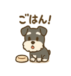 冬のほっこりシュナウザー（個別スタンプ：23）