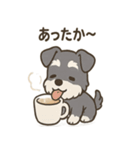 冬のほっこりシュナウザー（個別スタンプ：24）