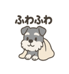 冬のほっこりシュナウザー（個別スタンプ：27）