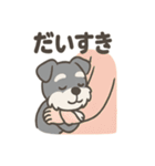 冬のほっこりシュナウザー（個別スタンプ：28）
