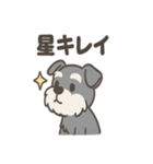 冬のほっこりシュナウザー（個別スタンプ：29）