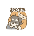 冬のほっこりシュナウザー（個別スタンプ：33）