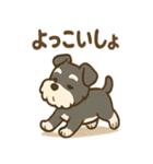 冬のほっこりシュナウザー（個別スタンプ：34）