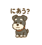 冬のほっこりシュナウザー（個別スタンプ：36）