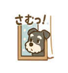 冬のほっこりシュナウザー（個別スタンプ：38）