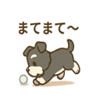 冬のほっこりシュナウザー（個別スタンプ：39）
