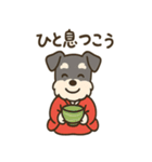 ミニチュアシュナウザーのお正月スタンプ（個別スタンプ：16）