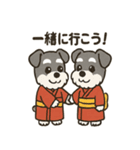 ミニチュアシュナウザーのお正月スタンプ（個別スタンプ：30）
