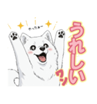 【日常】ふわふわの白い犬（個別スタンプ：6）