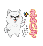 【日常】ふわふわの白い犬（個別スタンプ：8）