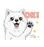 【日常】ふわふわの白い犬（個別スタンプ：9）