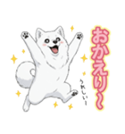 【日常】ふわふわの白い犬（個別スタンプ：10）