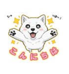 【日常】ふわふわの白い犬（個別スタンプ：13）