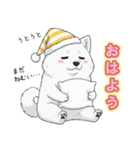 【日常】ふわふわの白い犬（個別スタンプ：14）