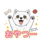 【日常】ふわふわの白い犬（個別スタンプ：16）