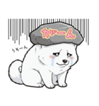 【日常】ふわふわの白い犬（個別スタンプ：17）