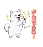 【日常】ふわふわの白い犬（個別スタンプ：18）