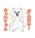 【日常】ふわふわの白い犬（個別スタンプ：19）
