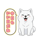 【日常】ふわふわの白い犬（個別スタンプ：21）
