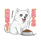 【日常】ふわふわの白い犬（個別スタンプ：22）