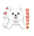 【日常】ふわふわの白い犬（個別スタンプ：24）